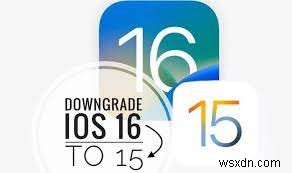 iOS 18 및 17에서 Apple Music 충돌 수정 – 빠르고 안정적인 솔루션 