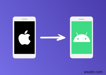 품질 손실 없이 iPhone 사진을 Android로 전송하세요 