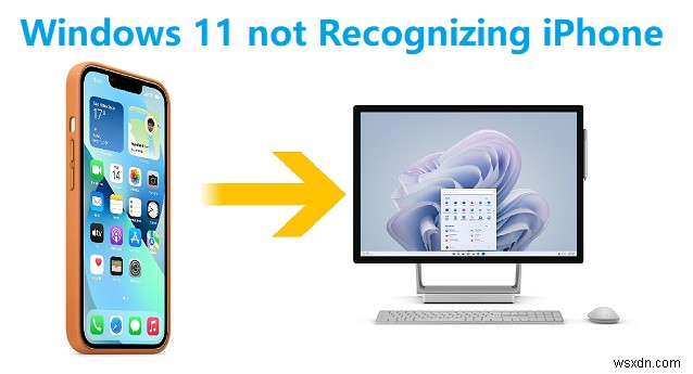 가장 쉬운 해결 방법 5가지:Windows 11/10이 iPhone을 인식하지 못하는 경우 