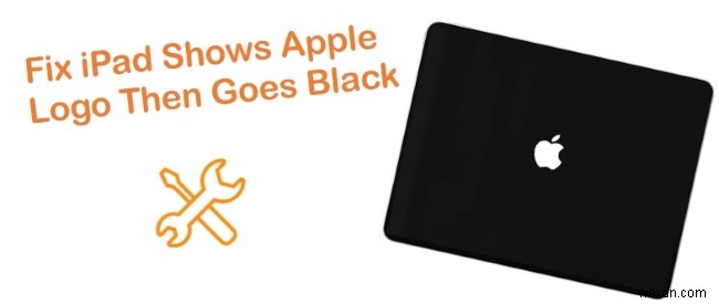 iPad가 Apple 로고에서 멈추고 검은색으로 변할 때 입증된 수정 방법 4가지 