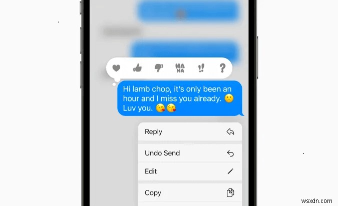 iOS 17/18에서 메시지 보내기 취소:알아야 할 모든 것 