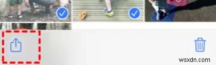 iCloud 비디오를 빠르고 안전하게 다운로드하기:단계별 가이드 