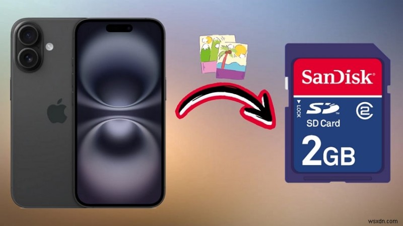 iPhone에서 SD 카드로 사진을 전송하는 5가지 안정적인 방법 