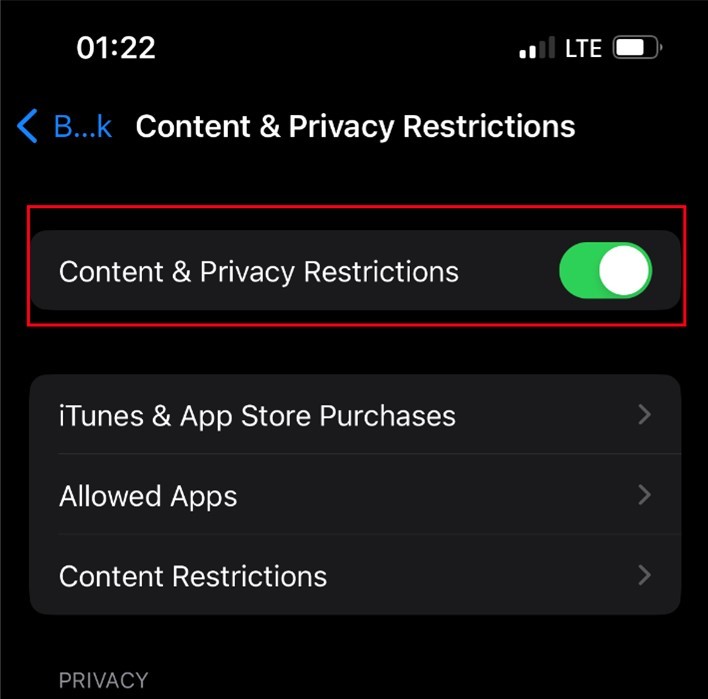 iPhone에 App Store가 없나요? 복원을 위한 빠른 수정 
