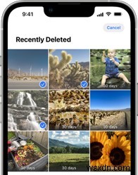 iOS 17.5 사진 버그:iPhone에서 표면이 다시 표시된 이미지를 영구적으로 삭제하는 방법 