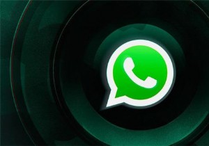 WhatsApp 로컬 백업이 감지되지 않을 때 해결 방법 – 단계별 완벽 가이드