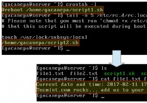 Linux 재부팅 및 시작 시 명령 자동화:단계별 가이드 