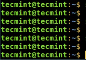 Linux에서 모든 사용자가 액세스할 수 있는 공유 디렉터리 생성:단계별 가이드 