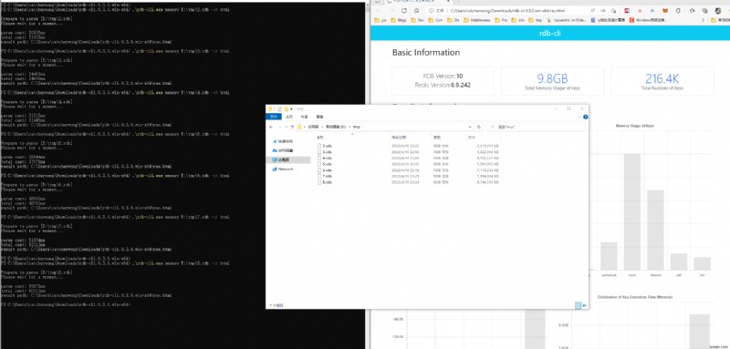 Redis RDB 파일 분석을 위한 종합 도구 