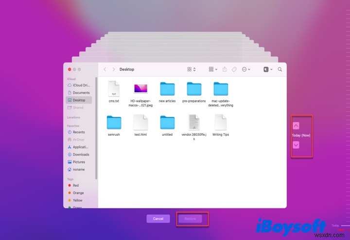Mac 업데이트 삭제된 파일? 데이터를 안전하게 복구하는 빠른 단계 