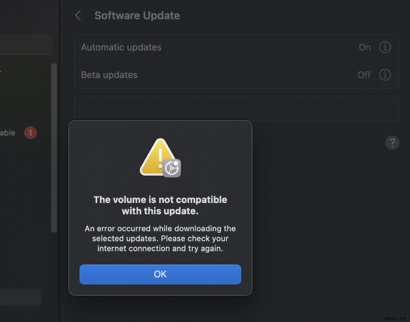 외장 드라이브에 macOS Big Sur를 설치할 때  볼륨 호환되지 않음  오류 해결 