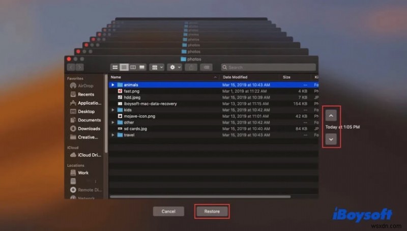 macOS Ventura로 업데이트한 후 손실된 파일 복구 – 검증된 단계별 가이드 