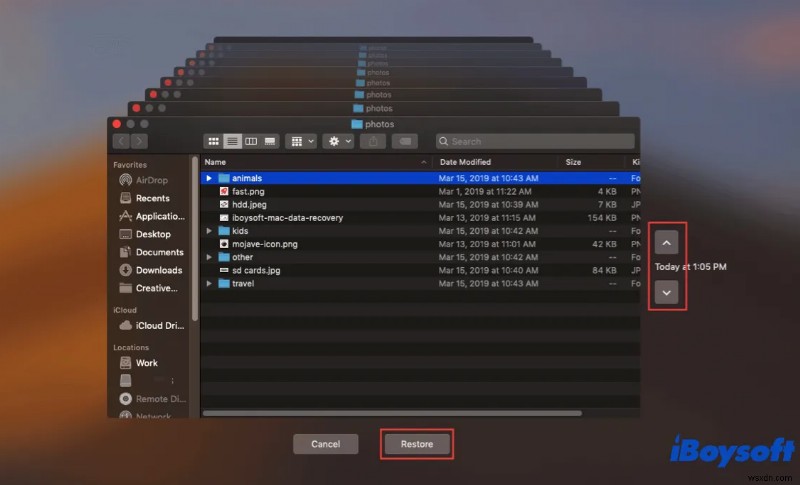 macOS Monterey에서 Word 파일 이름 바꾸기 및 액세스 문제 수정 