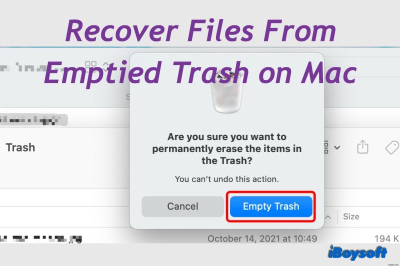 Mac 및 Windows에서 손실된 TurboTax 파일 복구:단계별 가이드 