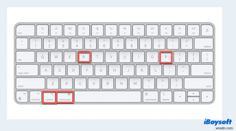 Mac 인터넷 복구가 작동하지 않는 문제 수정 - 데이터 손실 없이 복원하는 빠른 단계 