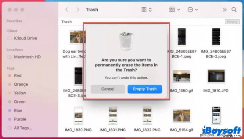 Mac 휴지통을 비우는 방법:단계별 가이드 