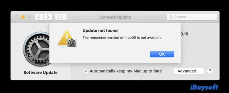 macOS Ventura:10가지 일반적인 문제, 원인 및 빠른 수정 