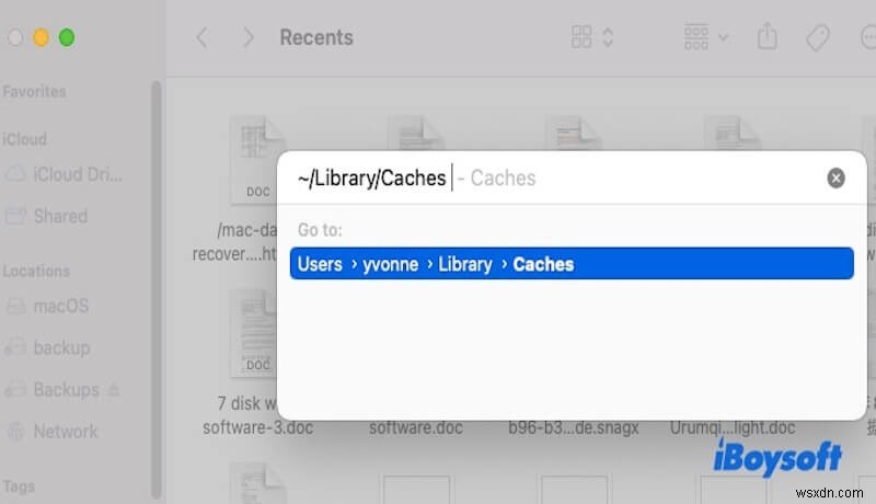 macOS Sequoia에서 Safari의 SSD 다운로드 문제 해결 – 단계별 수정 