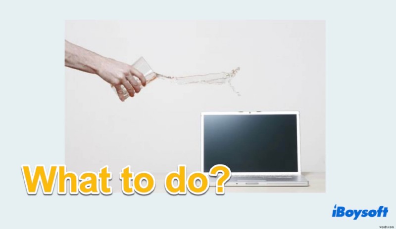 물을 쏟은 후 MacBook을 안전하게 복구하는 방법 
