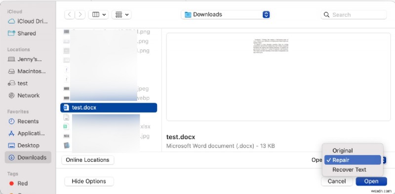 텍스트 복구 변환기를 사용하여 Mac 및 Windows에서 손상된 Word 문서를 복구하는 방법 
