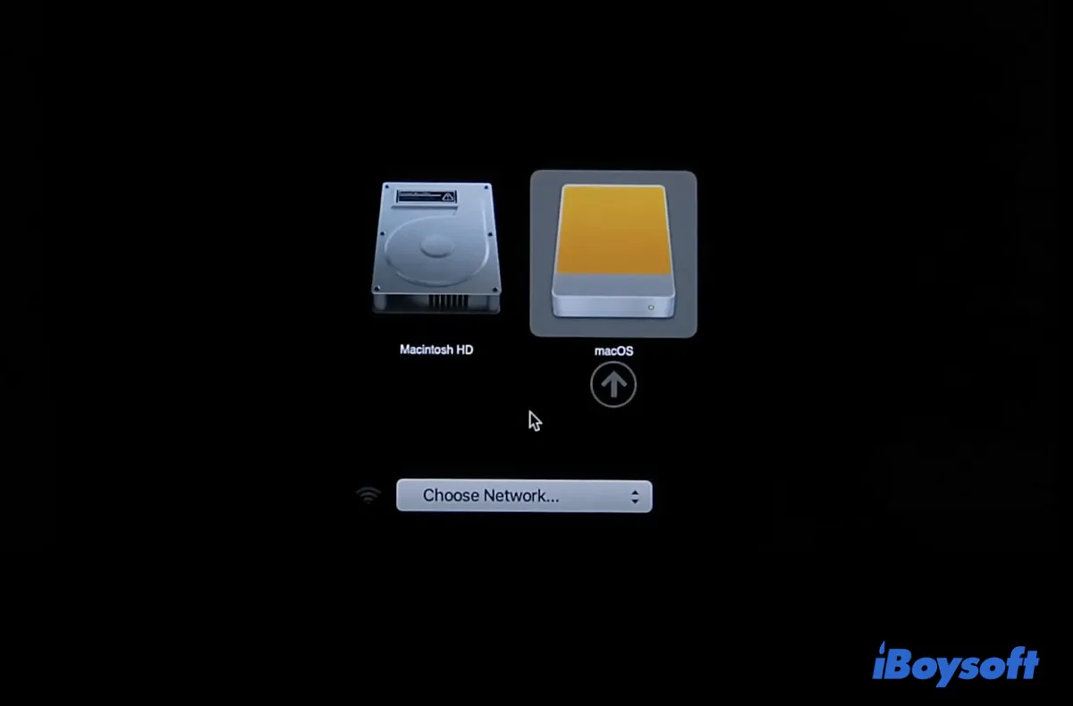 단계별:Windows 10/11에서 macOS 부팅 가능 USB 만들기 