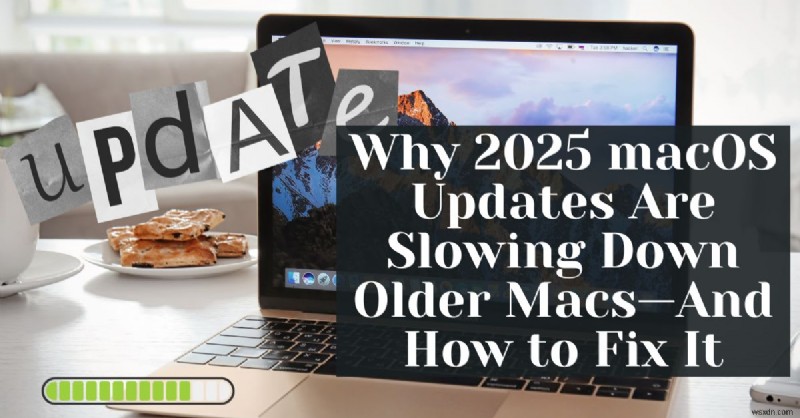 2025 macOS 업데이트 후 Mac 속도 복원 – 빠른 수정 