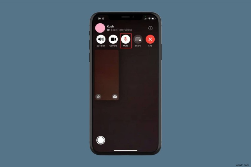 FaceTime 음소거 제어 마스터:자신과 다른 사람을 조용하게 만드는 단계별 가이드 