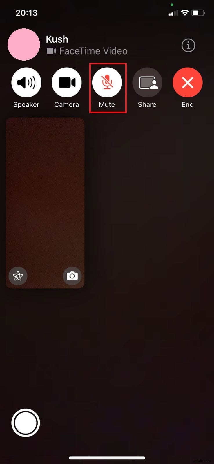 FaceTime 음소거 제어 마스터:자신과 다른 사람을 조용하게 만드는 단계별 가이드 