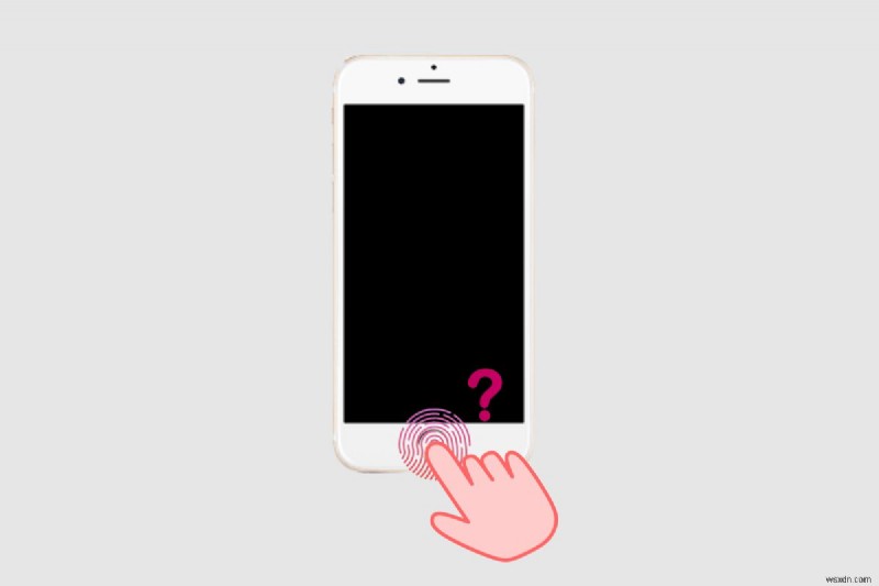iPhone 11 및 Touch ID:지문 잠금 해제에 대해 알아야 할 사항 