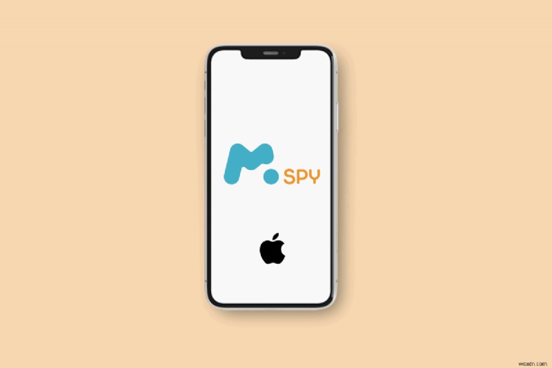 iPhone의 mSpy:작동 방식, 기능 및 탐지 위험 