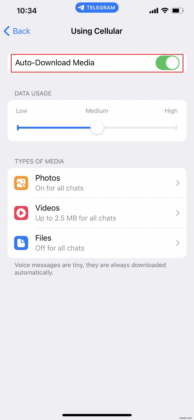 iPhone에서 텔레그램 캐시를 쉽게 지우는 방법 – 단계별 가이드 
