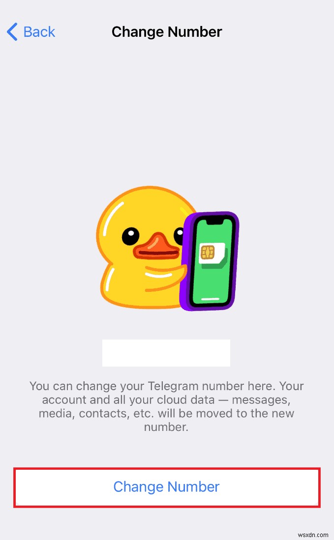 iPhone의 텔레그램  한도 초과  오류를 신속하게 해결하세요 
