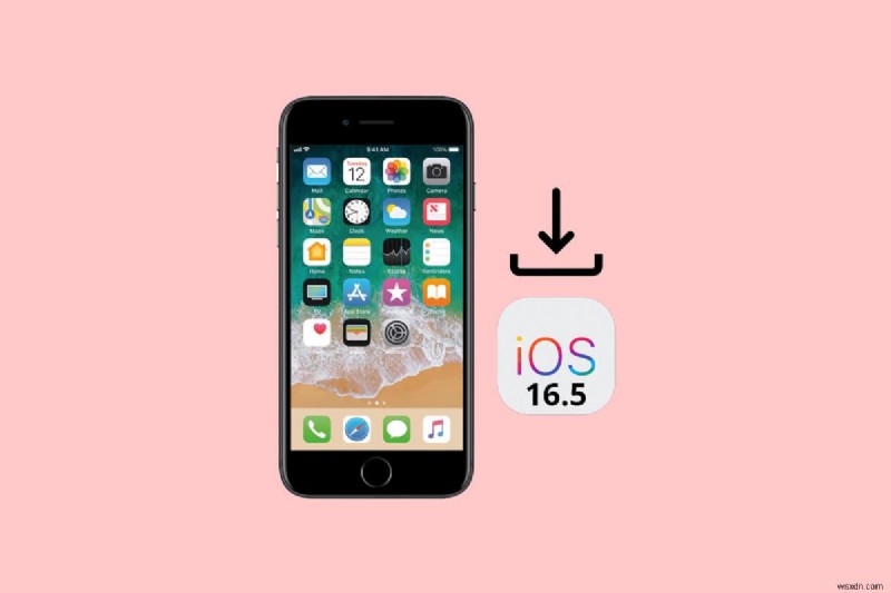iPhone에 iOS 16.5 베타를 안전하게 다운로드하고 설치하는 방법 