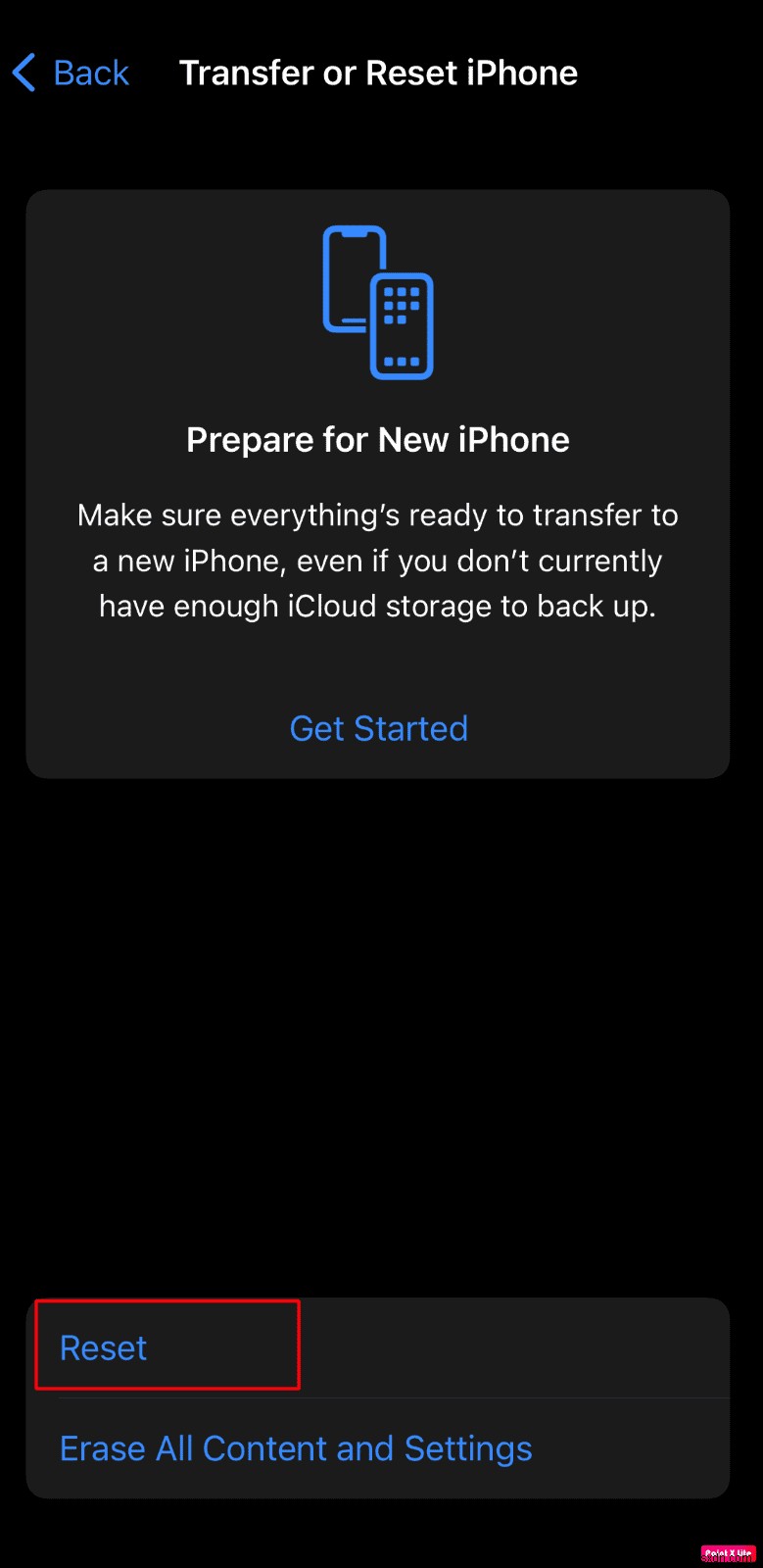 iPhone에 Apple 음악 앨범 아트가 표시되지 않는 문제 수정 