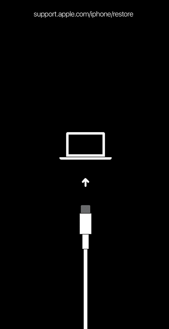 삭제된 iPhone 11 문자 메시지 복구:단계별 가이드 