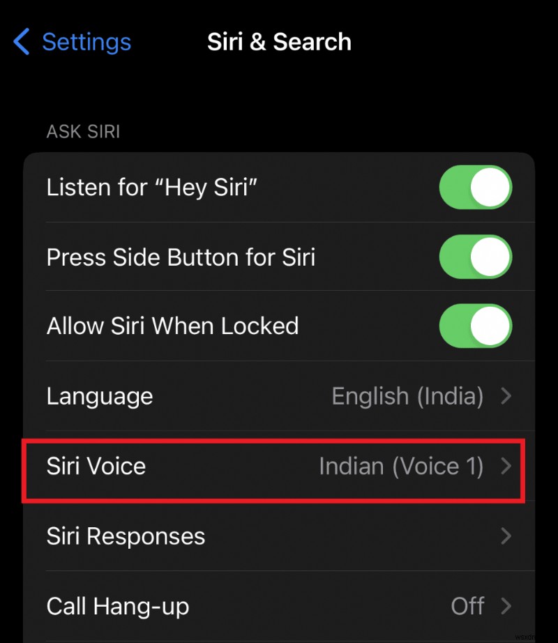 Siri 소리가 꺼졌나요? 잘 들리지 않는 음성 문제에 대한 빠른 수정 