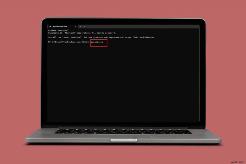 명령 프롬프트를 사용하여 Windows에서 WHOIS 조회 수행 