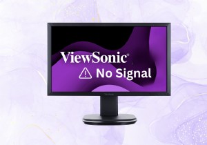 ViewSonic 모니터에서  감지된 신호 없음  문제 해결:단계별 수정 