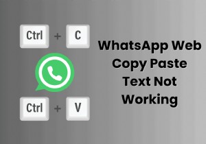 WhatsApp 웹에서 복사-붙여넣기 문제를 해결하는 방법 – 단계별 수정 