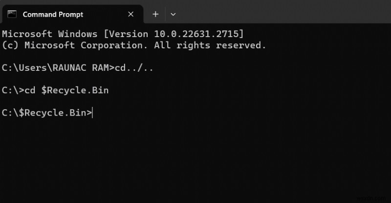 Windows 10에서 휴지통을 비운 후 삭제된 파일 복원 – 단계별 가이드 