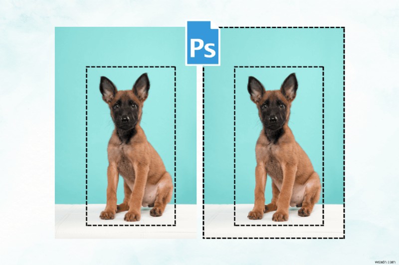 마스터 Photoshop 선택:바로가기를 사용하거나 사용하지 않고 선택 항목을 반전시키는 입증된 3가지 방법 