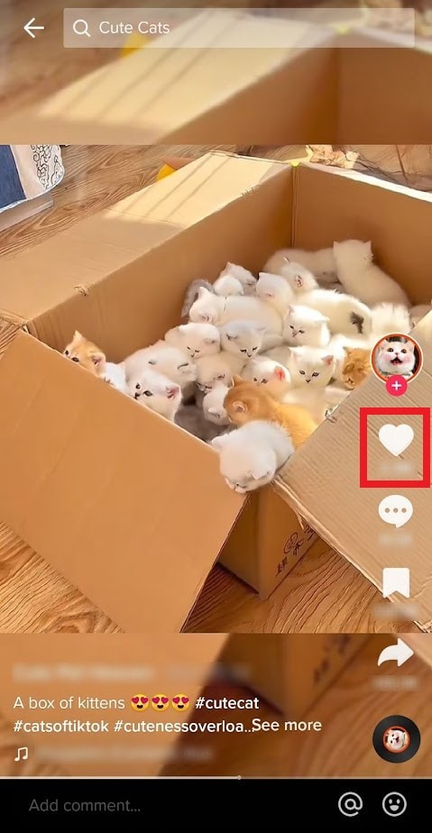 TikTok  관심 없음  선택 취소:몇 분 만에 피드 복원 
