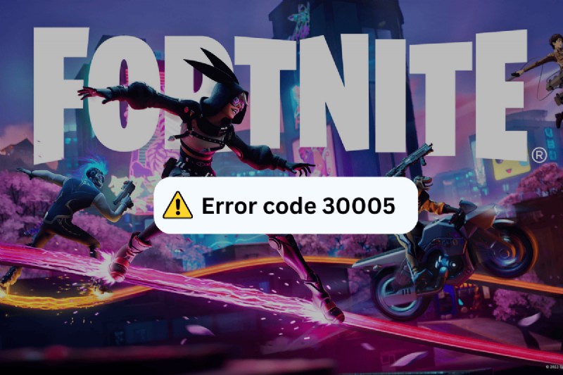 Fortnite 오류 코드 30005 해결 방법:10가지 입증된 수정 사항 