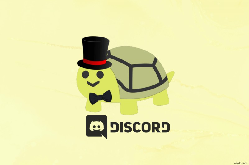 Discord에 Turtle Bot 추가 및 최적화:단계별 가이드 