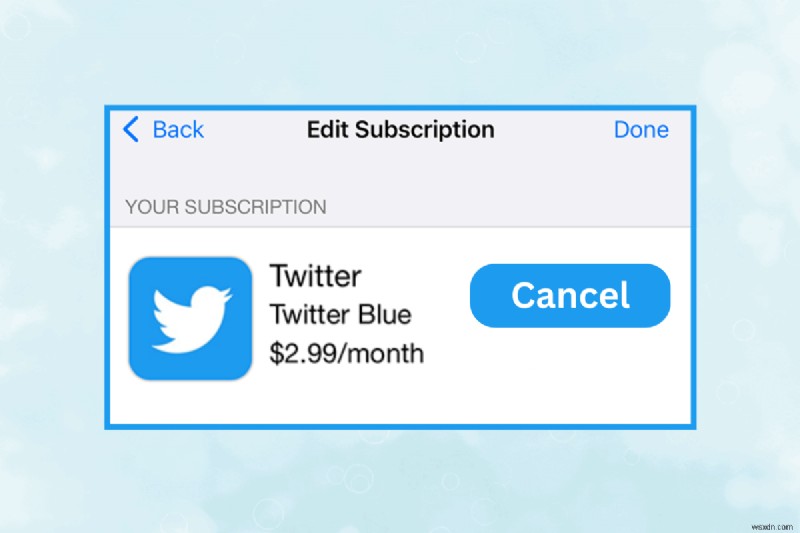 Twitter Blue 구독 취소에 대한 단계별 가이드 