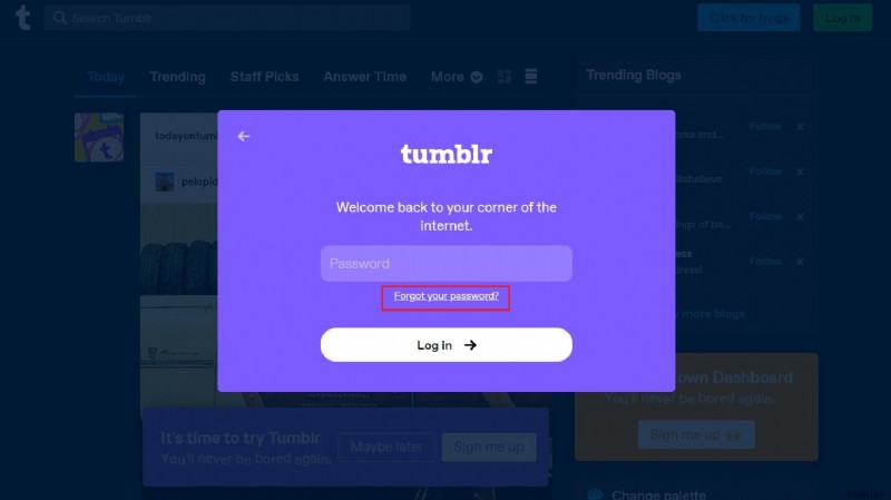 기존 Tumblr 계정 복원:간편한 비밀번호 재설정 가이드 