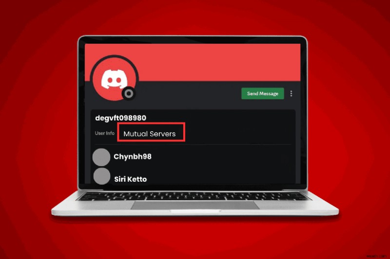 사용자가 어떤 Discord 서버에 있는지 알아보세요:단계별 가이드 