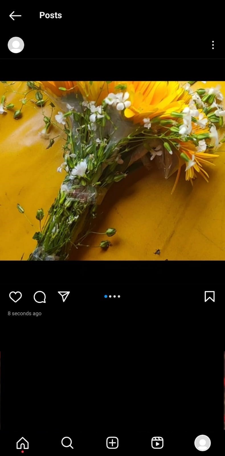 Instagram에 가로 및 세로 사진 모두 게시:단계별 가이드 