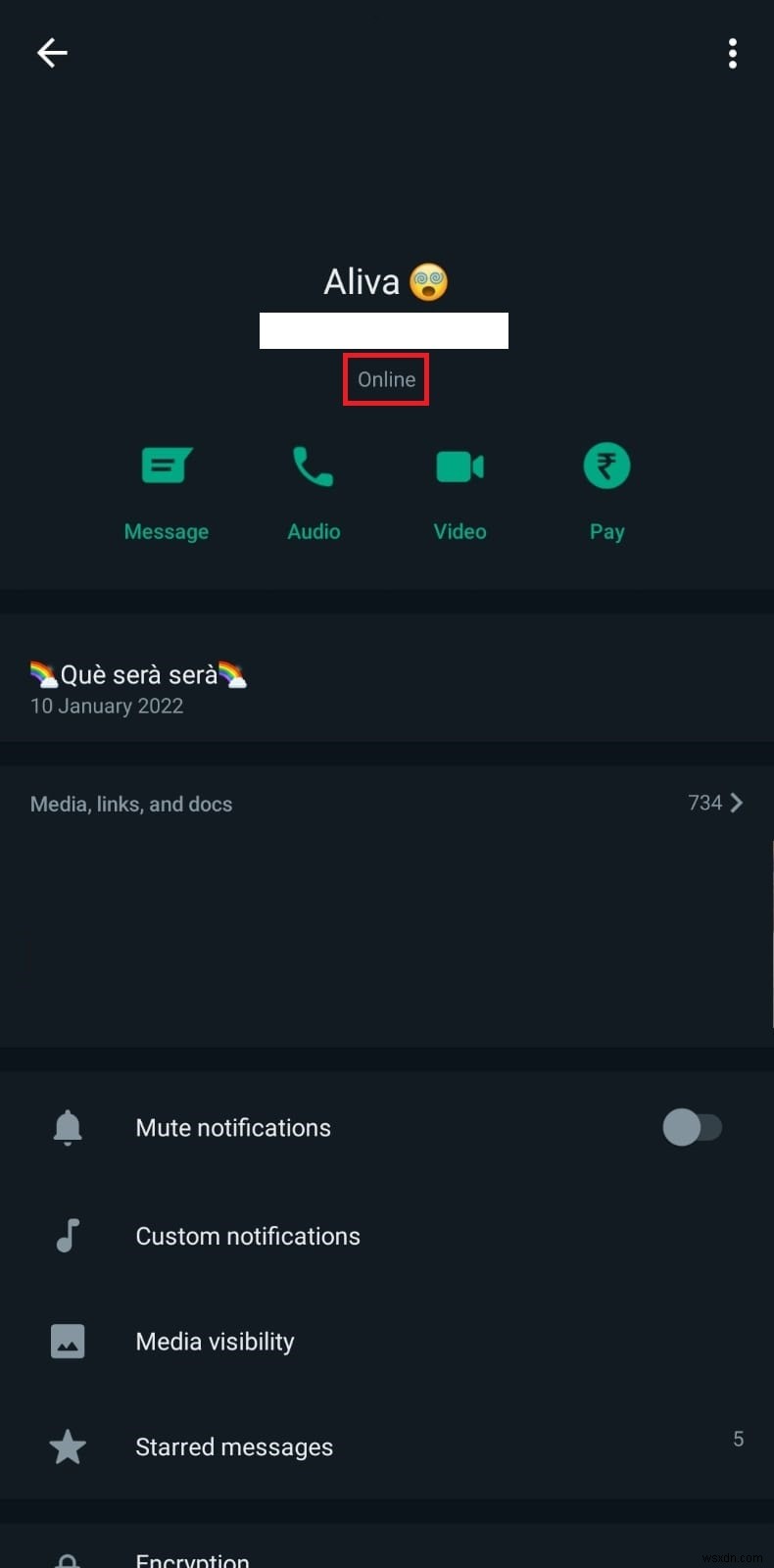 WhatsApp 온라인 상태 확인:연락처가 활성 상태인지 확인하는 방법 