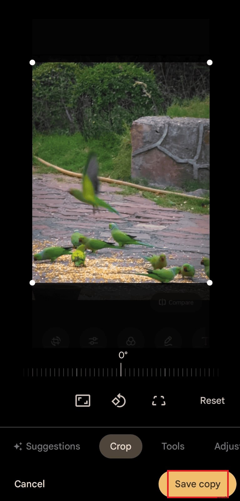 빠르게 Android 사진 크기 조정:단계별 튜토리얼 